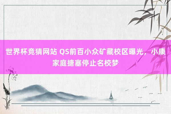 世界杯竞猜网站 QS前百小众矿藏校区曝光，小康家庭搪塞停止名校梦