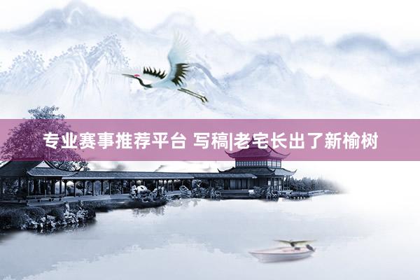 专业赛事推荐平台 写稿|老宅长出了新榆树