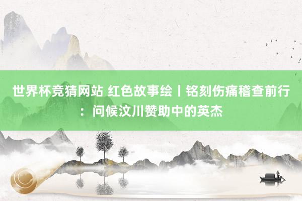 世界杯竞猜网站 红色故事绘丨铭刻伤痛稽查前行：问候汶川赞助中的英杰