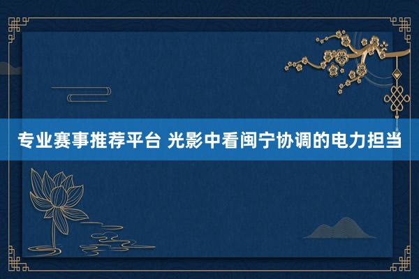 专业赛事推荐平台 光影中看闽宁协调的电力担当