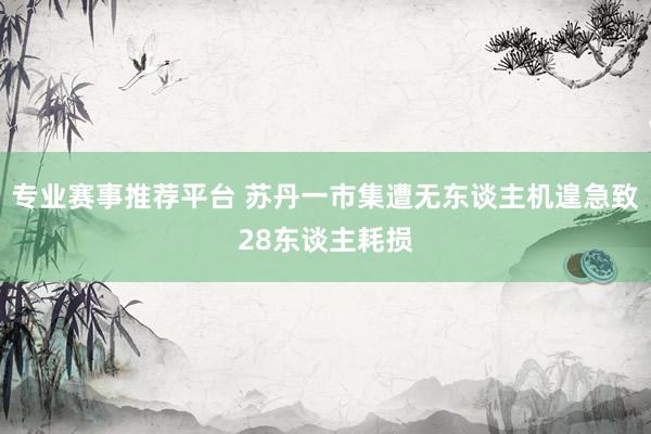 专业赛事推荐平台 苏丹一市集遭无东谈主机遑急致28东谈主耗损