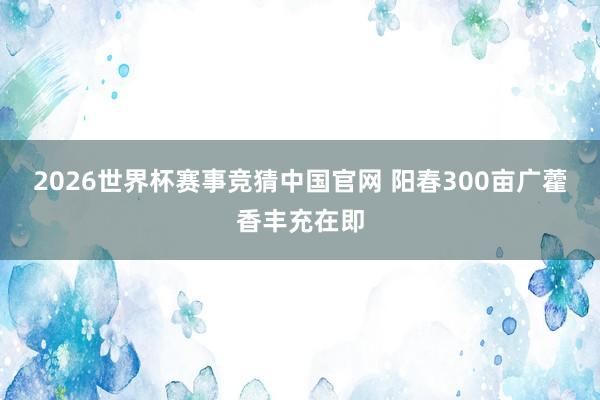 2026世界杯赛事竞猜中国官网 阳春300亩广藿香丰充在即