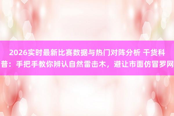 2026实时最新比赛数据与热门对阵分析 干货科普：手把手教你辨认自然雷击木，避让市面仿冒罗网