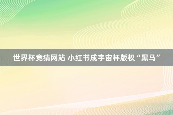 世界杯竞猜网站 小红书成宇宙杯版权“黑马”