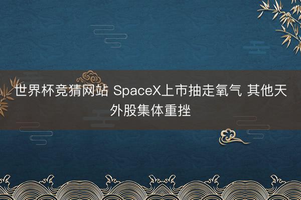 世界杯竞猜网站 SpaceX上市抽走氧气 其他天外股集体重挫