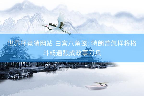 世界杯竞猜网站 白宫八角笼: 特朗普怎样将格斗畅通酿成政事刀兵